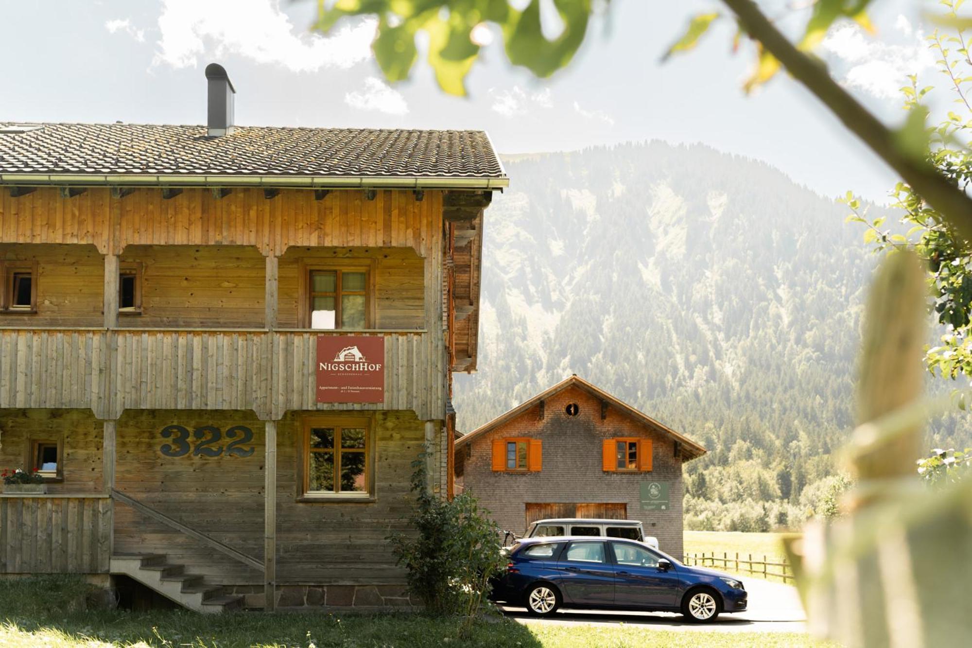 Nigschhof Villa Schoppernau Buitenkant foto